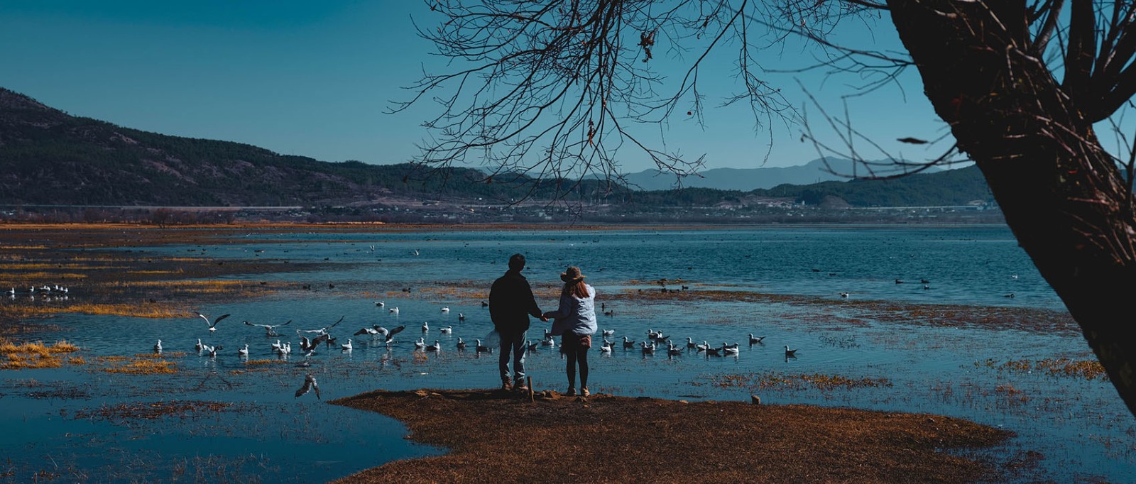 云南麗江·茶馬道拉市海麗世山居酒店設(shè)計(jì) 云南麗江·茶馬道拉市海麗世山居酒店設(shè)計(jì)