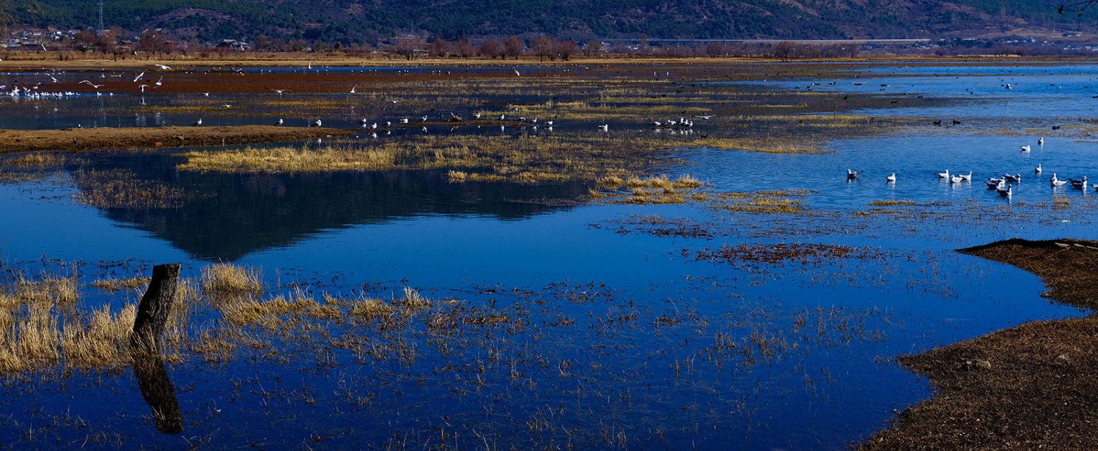 云南麗江·茶馬道拉市海麗世山居酒店設(shè)計(jì) 云南麗江·茶馬道拉市海麗世山居酒店設(shè)計(jì)